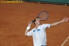 federer-stepanek-02.jpg