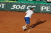 federer-stepanek-07.jpg