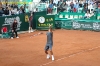 federer-stepanek-21.jpg