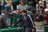 federer-stepanek-66.jpg